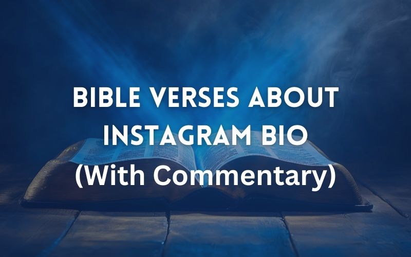 30 Powerful Best Bible verses about Instagram bio (Full Commentary)